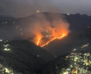 Himachal's forests are continuously burning, 29 incidents recorded in 24 hours