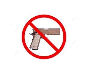 Model code of conduct implemented in Solan district, immediate ban on carrying weapons