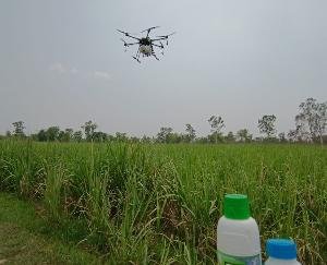 Training was conducted in Indora to facilitate spraying of fields with drones.