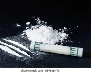 12.24 grams chitta recovered from two persons including girl in Shimla