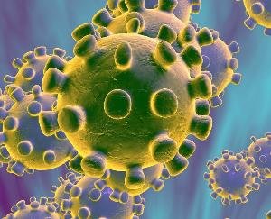 क्षेत्रीय अस्पताल सोलन में कोरोना वायरस के संबंध में कार्यशाला आयोजित