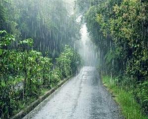 Monsoon will pick up pace again in the state after July 10