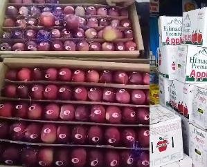 Tideman apples reach fruit market in universal carton from Karsog