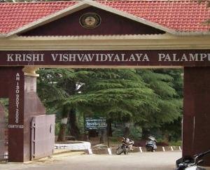 Research work on natural farming pending in Agricultural University, Palampur