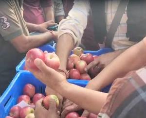 Gala apple sold for Rs 221 per kg in Bandrol vegetable market of Kullu