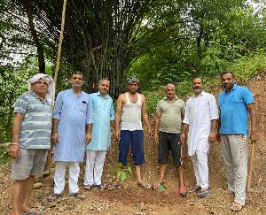 Local people collectively planted Peepal and Banyan trees in Dehra.