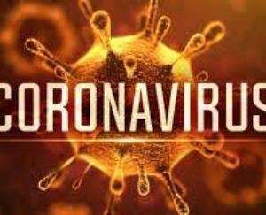  हिमाचल प्रदेश महामारी रोग विनियम, 2020