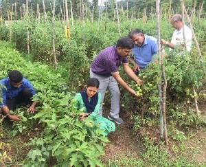 Rajiv Gandhi Natural Farming Start-up Scheme will bring prosperity in the lives of farmers