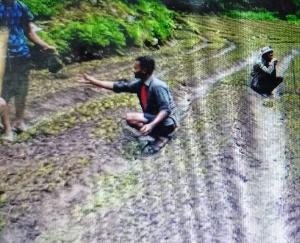 1 lakh saplings of pumpkin planted in Nigani and Taranda of Kinnaur