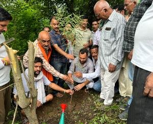 Hamirpur: Ashish Sharma planted a tree under the campaign in the name of mother.