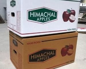 Himachal: Demand for cartons increased by 50 lakh in cardboard industries.