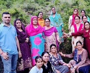 Sambhav charitable organization Kunihar planted saplings under the campaign “One tree in the name of mother”