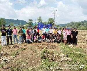 Jaisinghpur: For environmental protection, students planted saplings in Kangehan Gaushala.