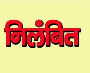 Chamba: BO and forest guard suspended for embezzlement of Rs 14 lakhs through forged signatures