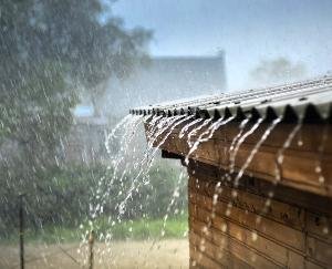 There will be heavy rain till 23 in five districts of Himachal Pradesh.