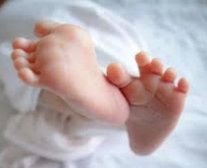 Bilaspur: Dead body of a newborn girl found in a drain on the side of a field in Ward-2 of Ghumarwin.