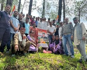 Karsog Block Congress Committee planted saplings in Kufridhar of Bakharot Panchayat.