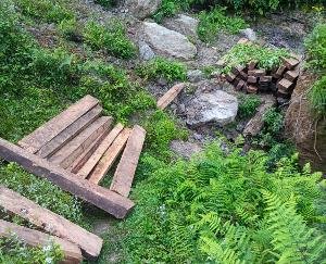 Kullu: Illegal felling is not stopping in Banjar, 54 illegal sleepers of cedar recovered from Sojha Beat.