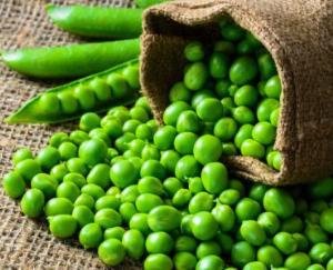 Now green pea sample failed in Solan, quantity of lead found