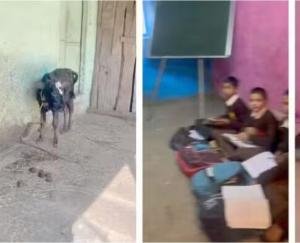 Himachal: Studying in buffalo stables...Villagers playing lute for school building