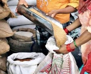 Himachal: Distribution of cheap ration starts in the depot for the month of December.