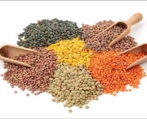 Himachal: Pulses will soon be available in depots, will have to wait for oil now