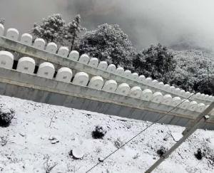 Solan: First snow of the season fell in Kasauli, there was no snowfall last year.