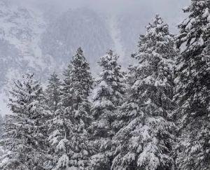 Shimla valleys shine like silver after fresh snowfall