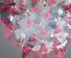 लॉक डाउन में भूखे मर रहे ट्रक चालक, 22 मार्च से लोड गाड़ियां रस्ते में खड़ी