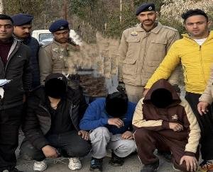 3 main leaders of Chitta arrested in Mandi, 22.3 grams of Chitta recovered from the accused