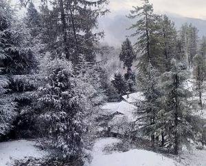 Snowfall again in the high altitude areas of Himachal, know when the weather will clear.