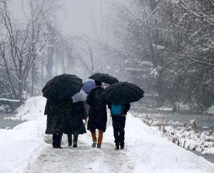 Rain and snowfall forecast in Himachal Pradesh from January 16