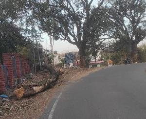 A tree branch lying on the roadside in the debris poses a danger of accident, questions raised on the negligence of the administration.