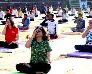  Shoolini University to host yoga festival at Yuvraj Singh Stadium on April 24