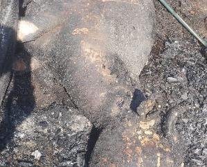 Kunihar: A huge fire broke out in the cowshed in Bawasi village, a buffalo and a calf died a painful death