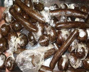 Solan_613_grams_of_hashish_recovered_from_a_car_during_a_blockade_2_youths_arrested