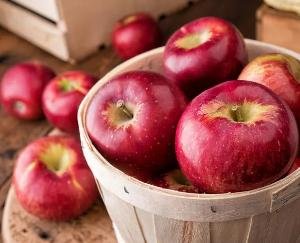 Himachal_Gardeners_angry_over_FTA_with_New_Zealand_will_meet_with_CM_Sukhu_today