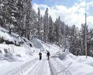 Himachal_Devbhoomi_shivers_in_the_cold_alert_for_rain_and_snowfall_again_from_this_day_know-the_update