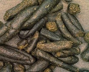 Shimla_One_arrested_with_1.811_kg_of_hashish_case_registered_under_NDPS_Act