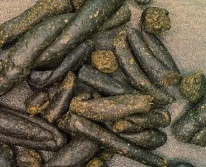 Shimla_Two_arrested_with_40_grams_of hashish_during_a_police_blockade