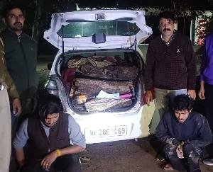 Crackdown on Khair smugglers in Indora, Alto car carrying illegal Khair logs caught