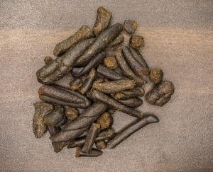 Major police action in Una: Accused arrested with 81.38 grams of hashish