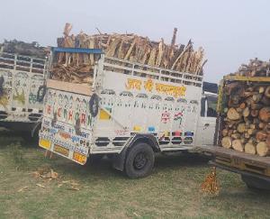  Illegal timber transportation exposed due to the vigilance of Nurpur police; three cases registered, and seven vehicles seized.