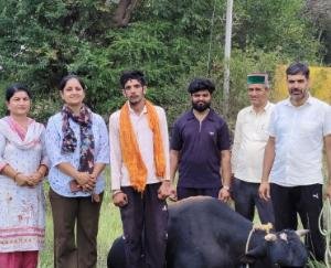 Jwalamukhi: The Republic Trust becomes a lifeline for destitute and suffering cattle.