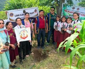  Lions Club Solan Valley organized its 4th tree plantation drive and cow service initiative.