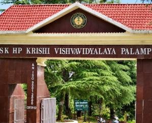 Crisis again over selection of VC for Agriculture-Horticulture University; government moves Supreme Court.