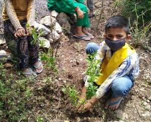 विश्व पर्यावरण दिवस पर अम्बुजा सीमेंट फाउंडेशन ने कार्यक्रम किया आयोजित