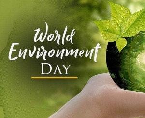 अंबुजा सीमेंट फाउंडेशन प्राइवेट आईटीआई दाड़लाघाट ने मनाया ऑनलाइन पर्यावरण दिवस