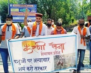 पशुओं पर अत्याचार शर्म करो सरकार : करणी सेना 