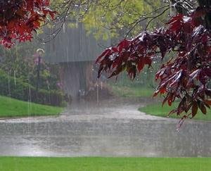 वर्षा ऋतु के दृष्टिगत आवश्यक दिशा-निर्देश जारी